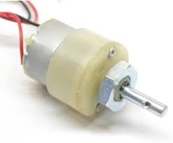 300 RPM Gear Motor SS